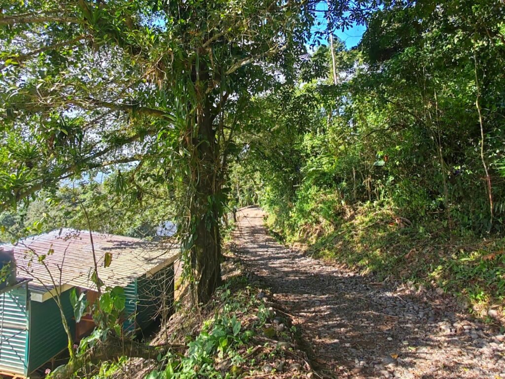 parte de atras de la cabaña hygge house rodeado de bosque